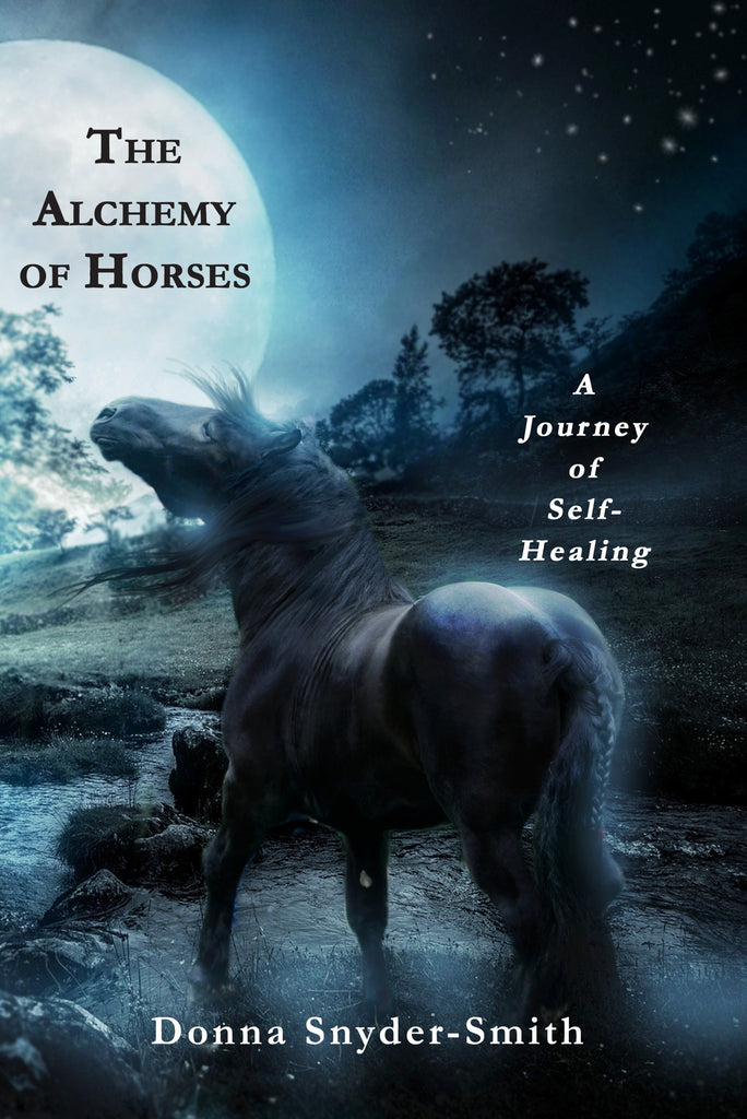 The Alchemy of Horses Is Getting Five-Star Reviews!!