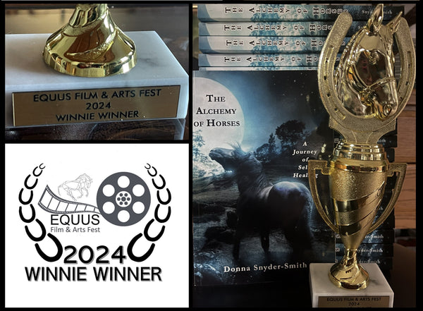 THE ALCHEMY OF HORSES: A Journey of Self-Healing